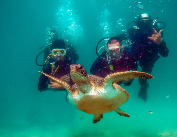 Tour Buzios + Buceo