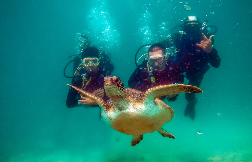 Brazil - Buzios e Isla Grande